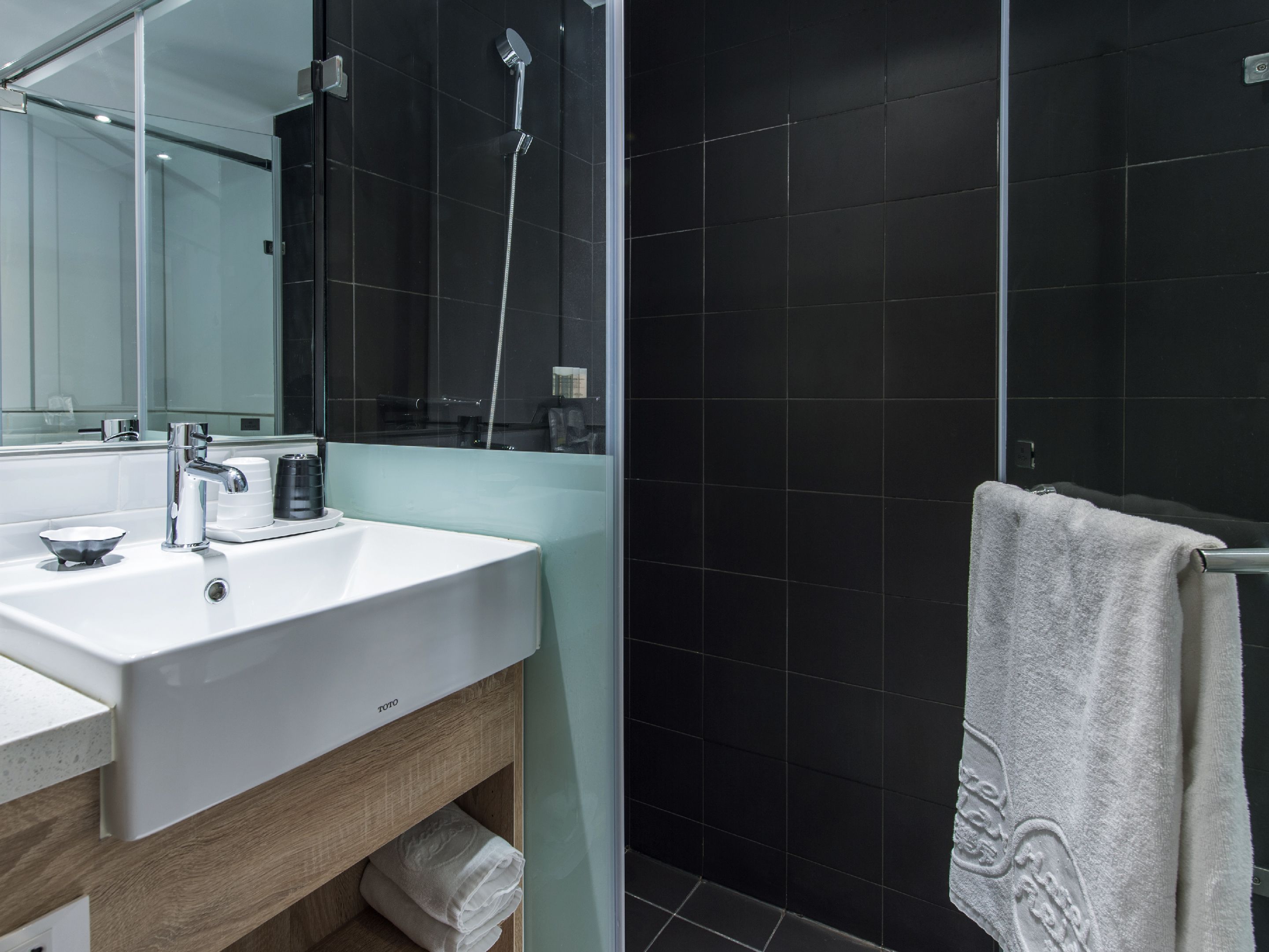 shower, rainfall showerhead, hair dryer, electronic bidet