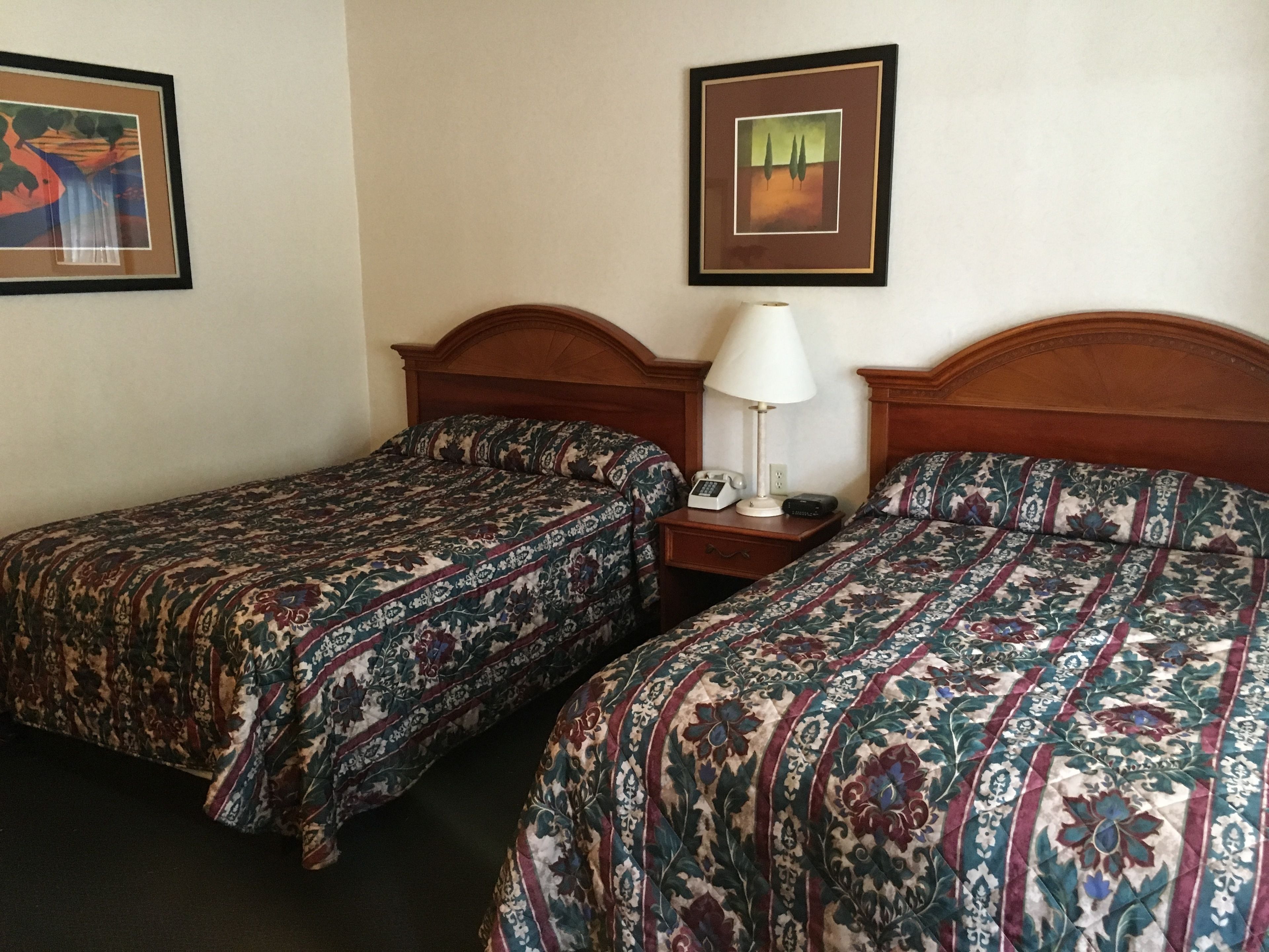 A hotel room with two beds, each with a patterned bedspread, a nightstand with a lamp and phone, and framed artwork on the wall.