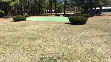 Un campo de golf con un área de práctica verde rodeado de árboles y arbustos.