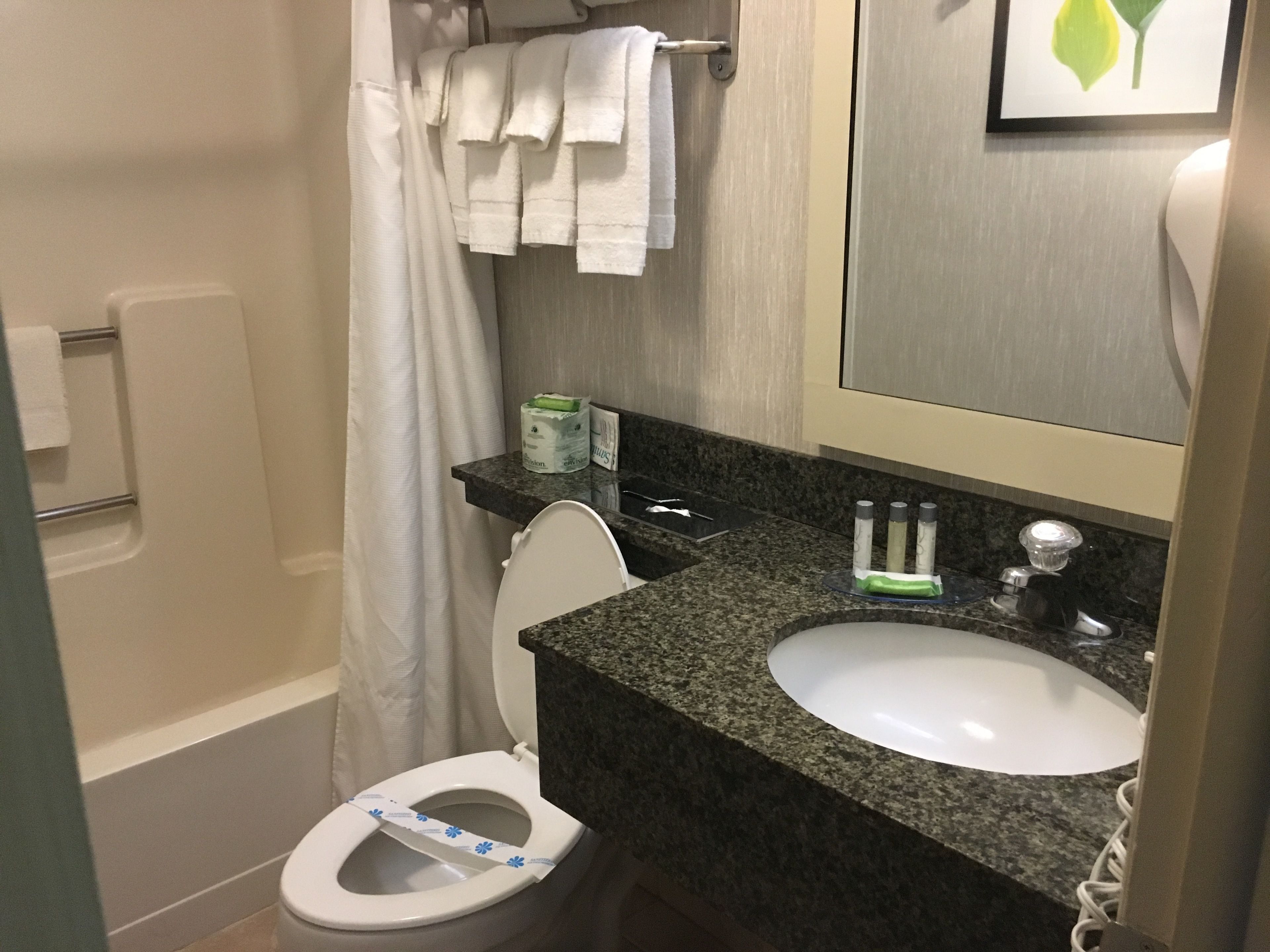 A bathroom with a toilet, sink, and shower.