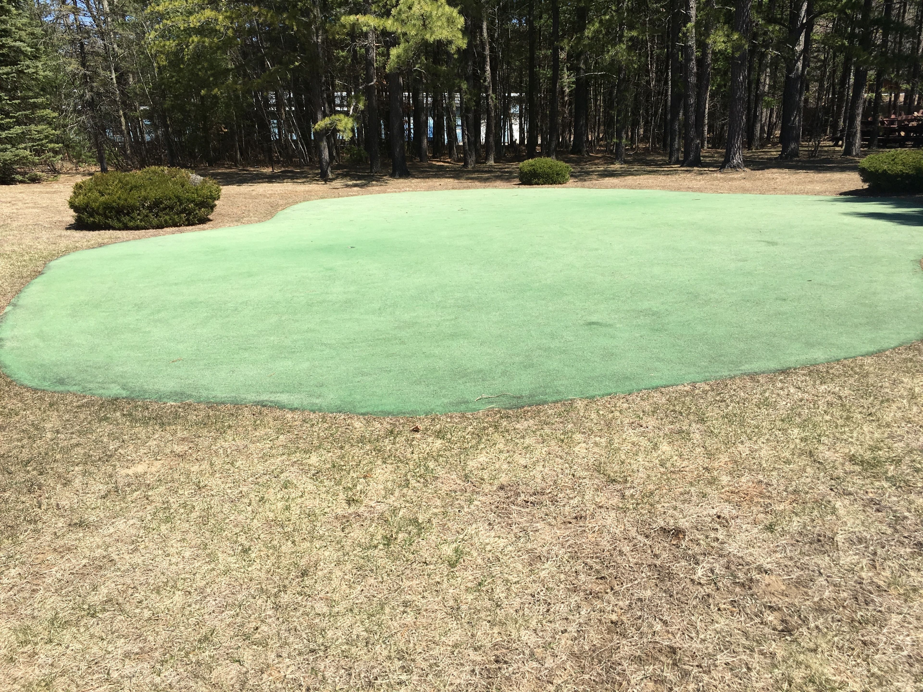 A golf course with a green fairway, surrounded by trees and a dry grassy area.