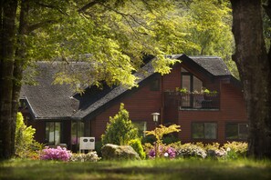 Ropa de cama de alta calidad, cubrecamas y decoración personalizada 