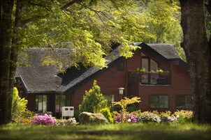 Loft | Roupas de cama premium, edredons de pluma, individualmente decorados