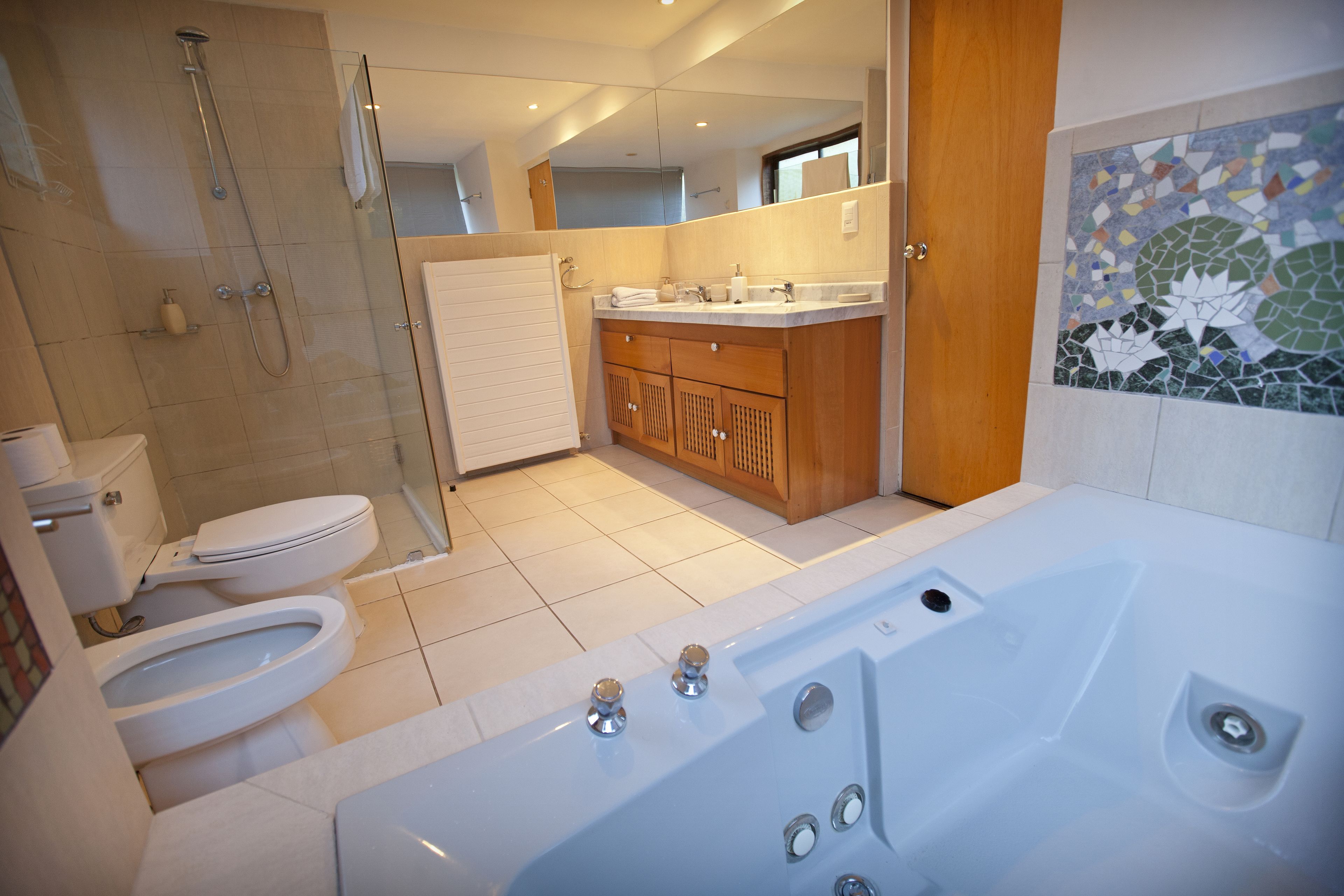 suite | bathroom | hair dryer, towels, soap, shampoo