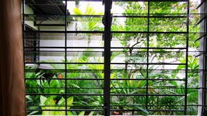 Una ventana con barrotes, tras la cual se distingue un follaje verde exuberante y un árbol con flores anaranjadas.