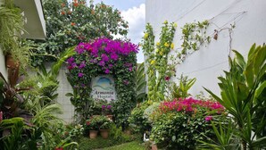 Un exuberante jardín con un cartel que indica 'Armonía Hostal', rodeado de diversas plantas y flores.