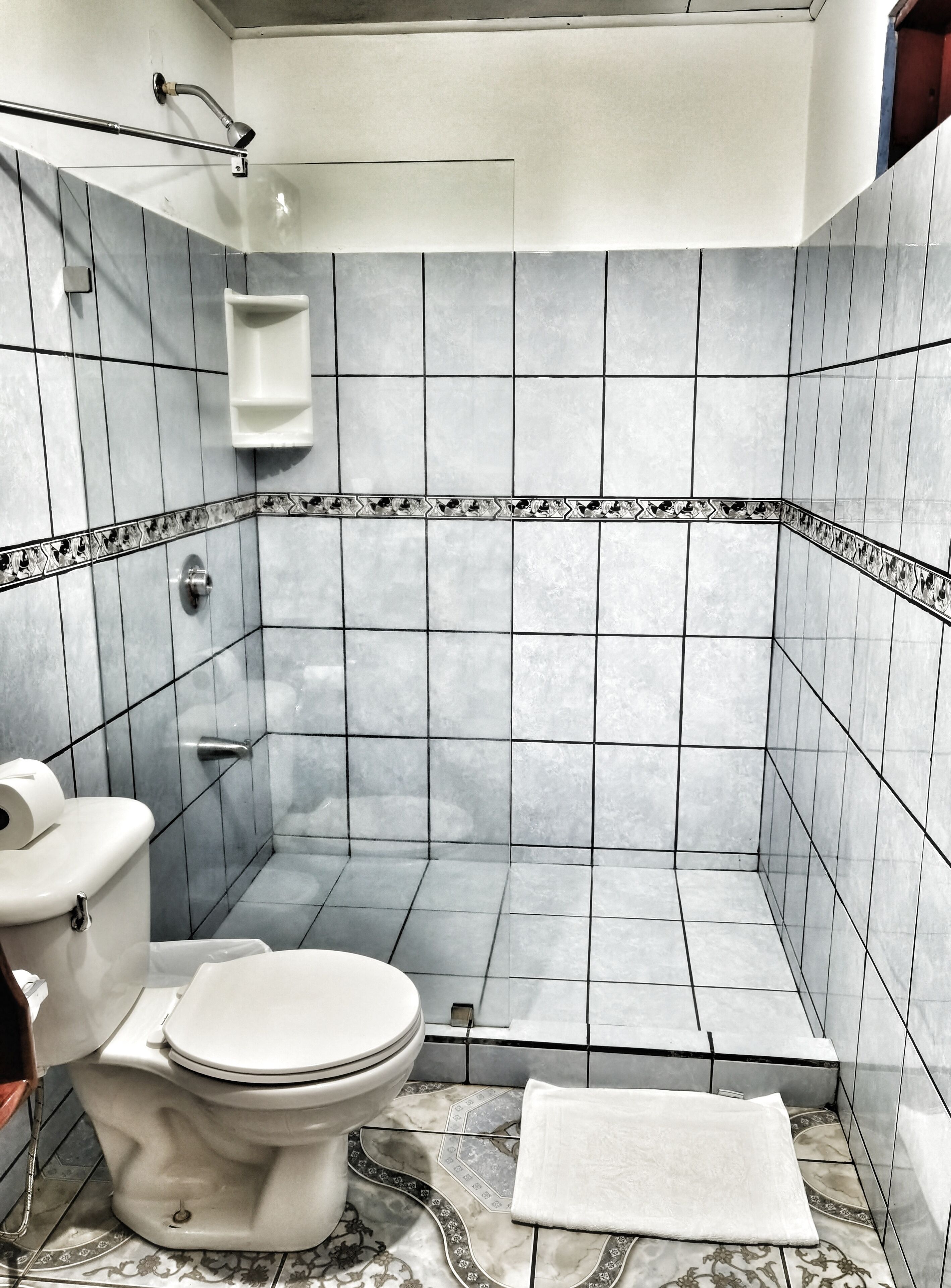 Une salle de bain avec des toilettes, une douche et des murs carrelés.
