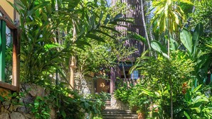Eine steinerne Treppe, umgeben von üppigem Grün, führt zu einem Hauseingang.