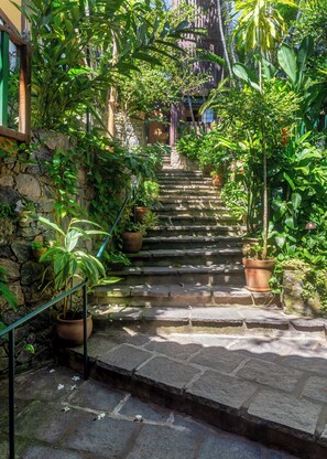 Vista al jardín