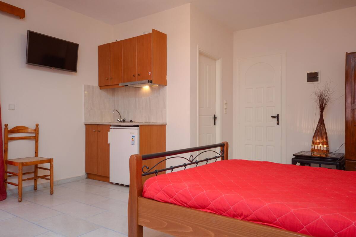 A bedroom with a wooden bed, a small kitchenette with wooden cabinets, a television, and a door leading to another room.