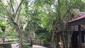 A rustic building with a tiled roof, surrounded by lush greenery and trees. - Bohol Bee Farm (Dauis)