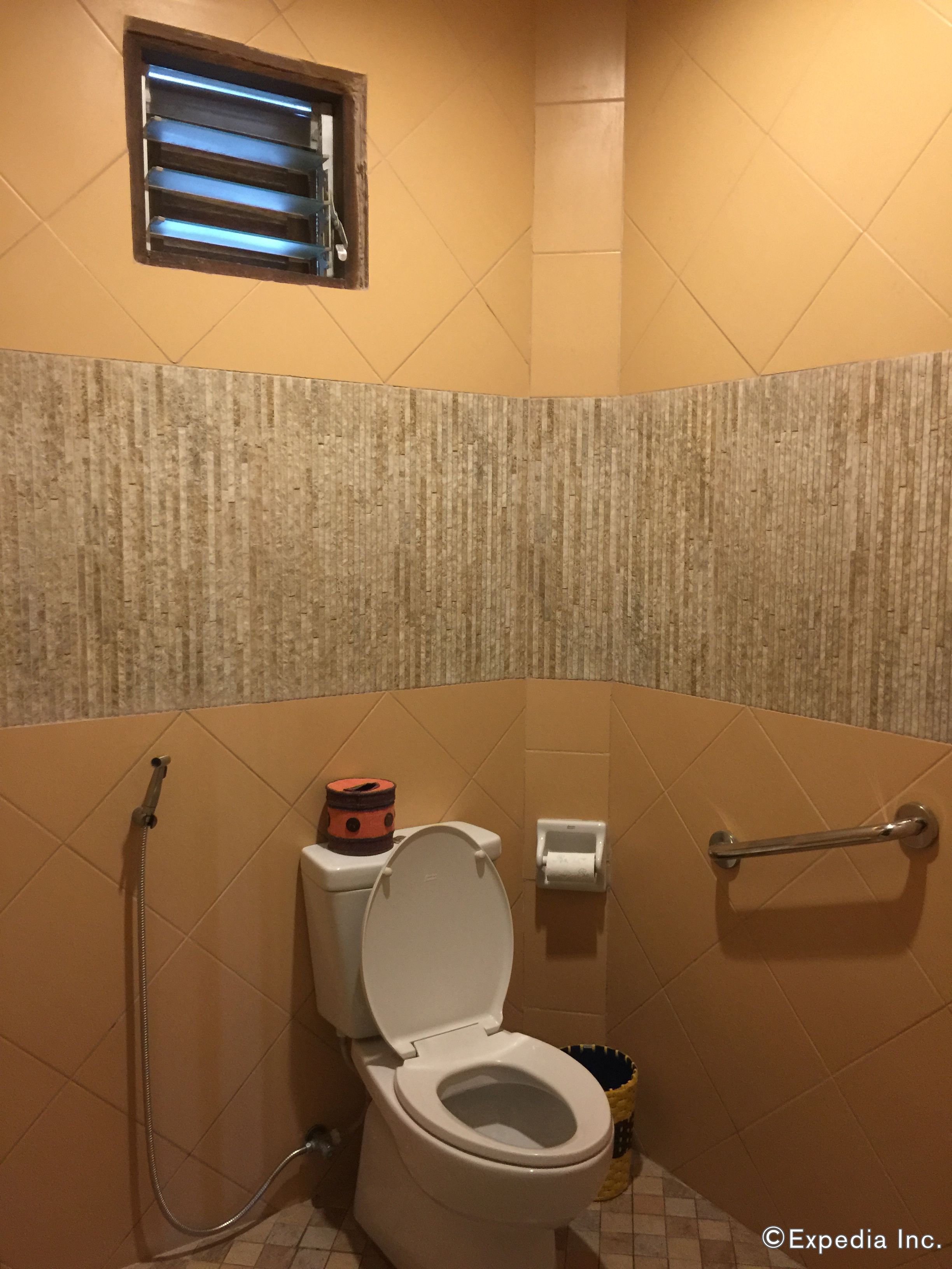 Un baño con inodoro, ducha y barra de apoyo.