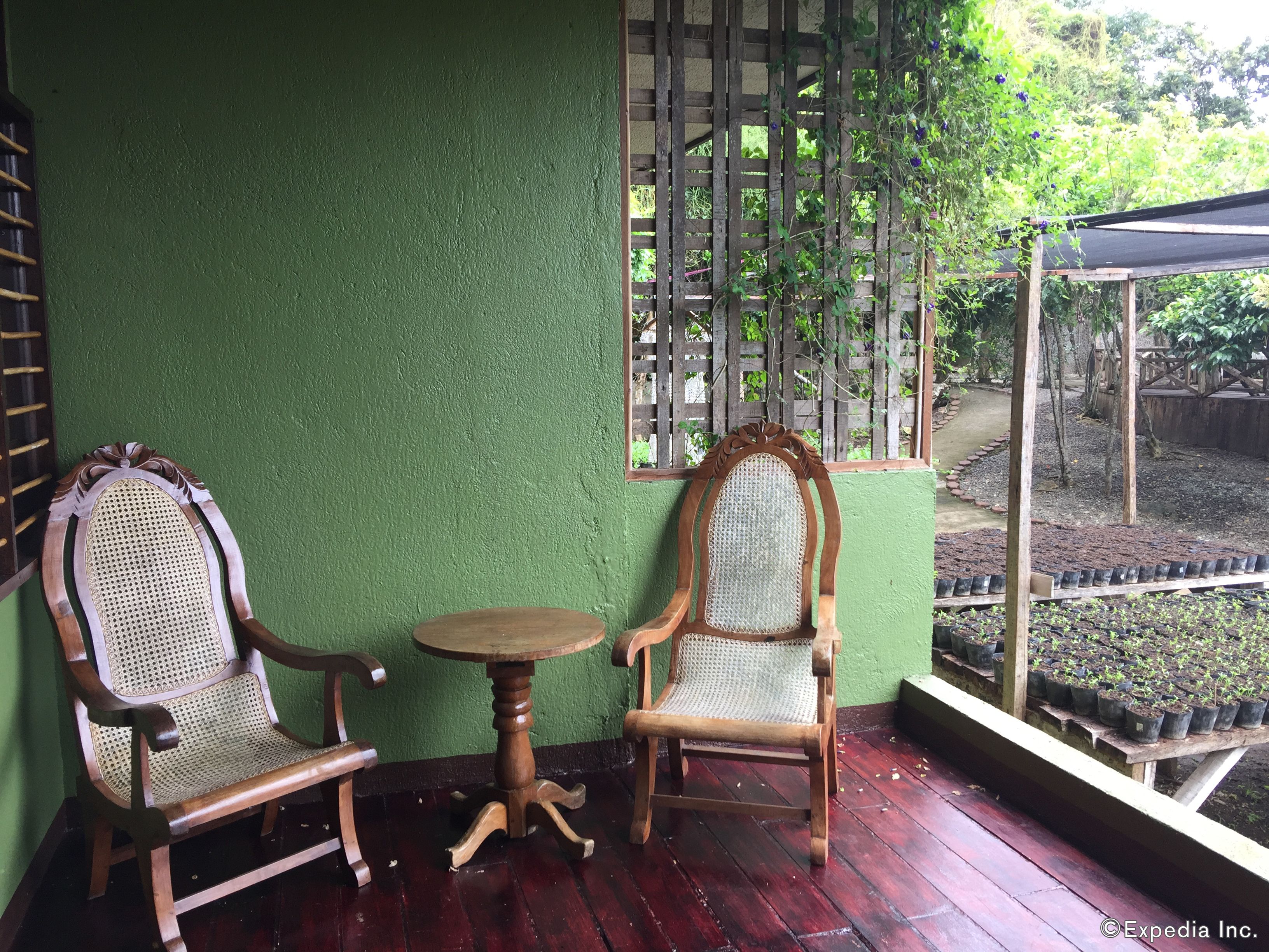 A wooden chair and table set against a green wall, with a wooden fence and plants visible through a window.