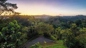 Un paisaje natural con un sendero de tierra que serpentea entre vegetación densa.