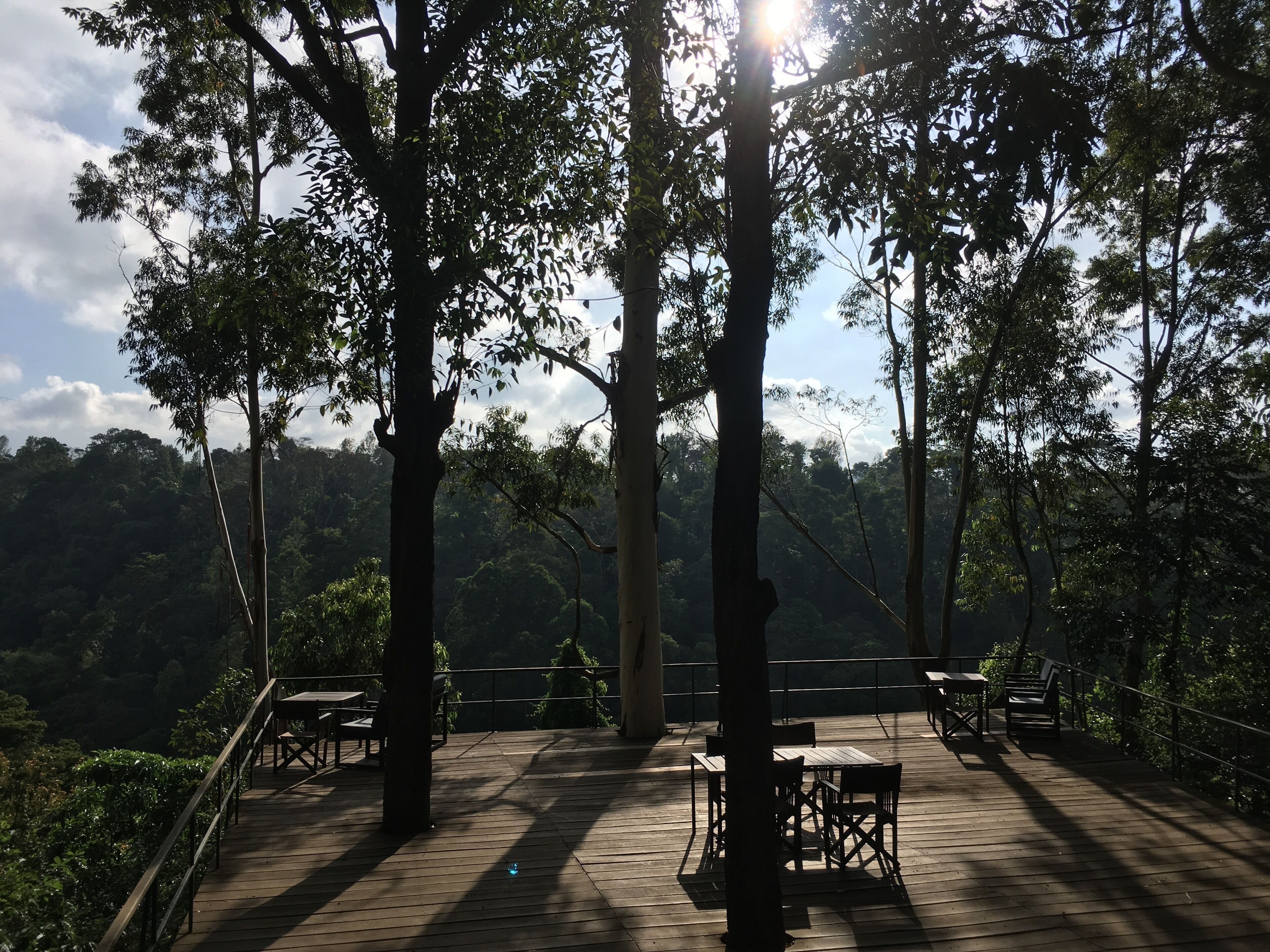 A wooden deck with tables and chairs, surrounded by trees, overlooking a forested area.