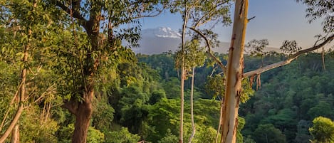 Una terraza de madera con dos sillas y una mesa, con vistas a un bosque frondoso y una cadena montañosa distante.