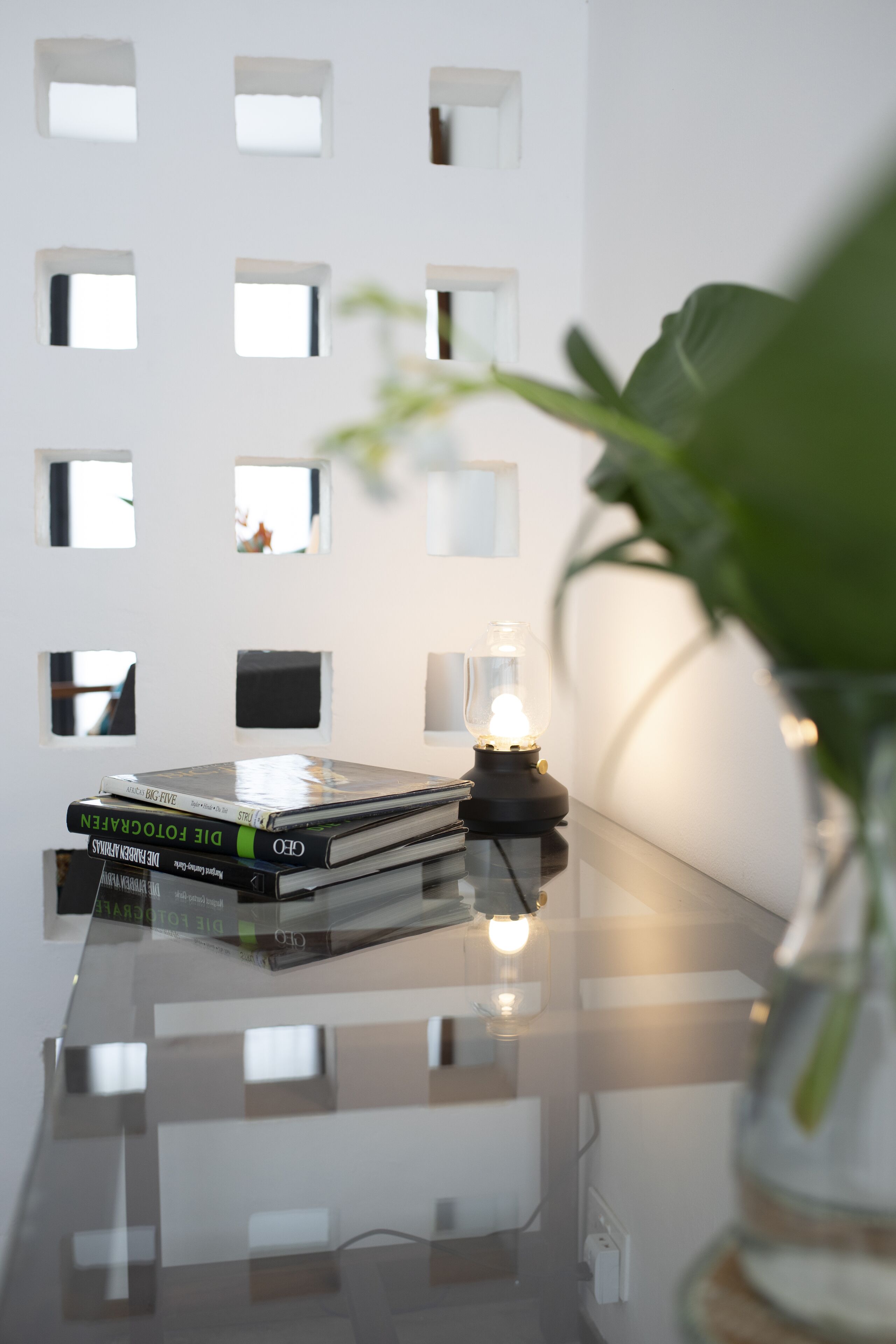 A stack of books on a reflective surface with a small lamp and a plant in the foreground.