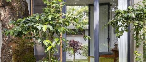 A modern building with large glass doors, a moss-covered tree, and a view of a garden.
