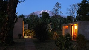 A pathway leading to a building with a mountain in the background. - Kaliwa Lodge (Machame)