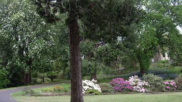 Un parque con un árbol grande, un sendero y macizos de flores con diversas plantas.