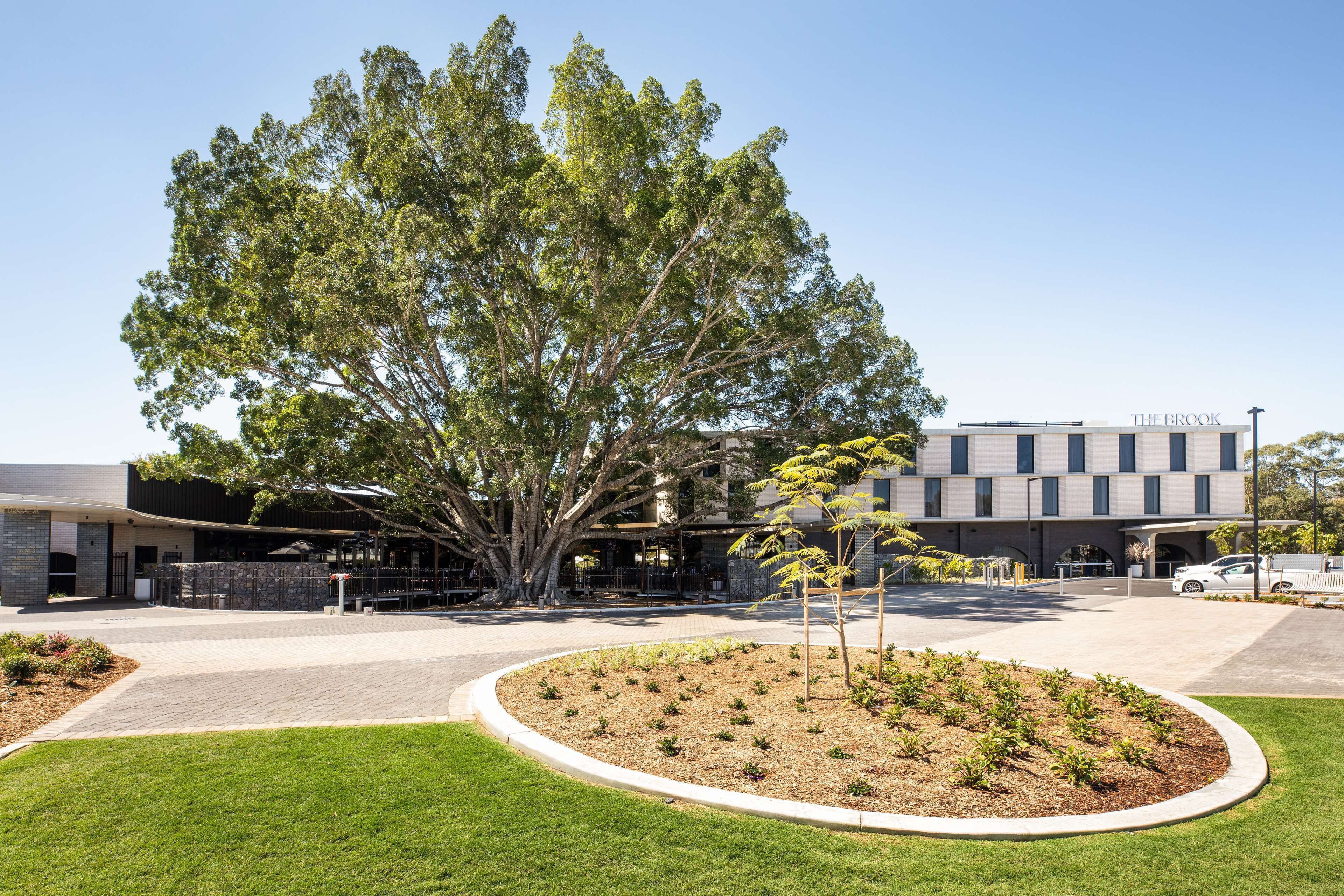 Foto - Nightelier Mitchelton The Brook