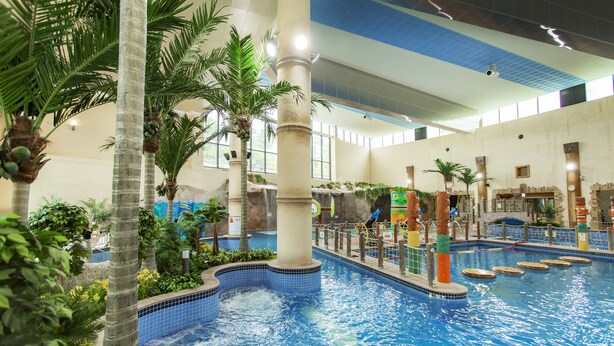 An indoor swimming pool with multiple lanes, palm trees, and a water slide. - Lotte Buyeo Resort (Buyeo)