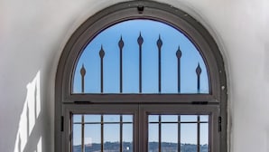 A view through a large arched window with a decorative metal gate, a vase with red flowers, and a cityscape in the background.