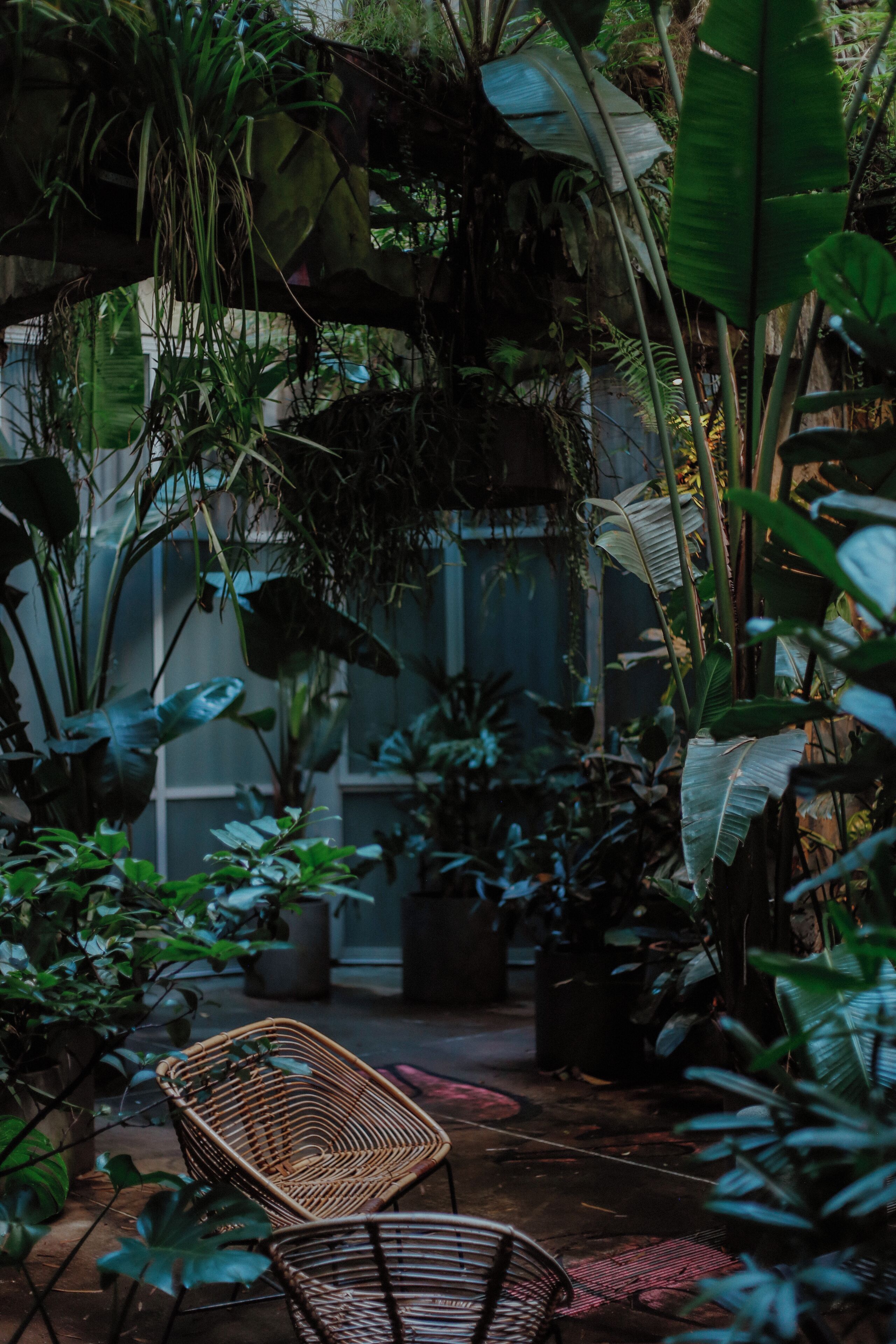 Family Studio | Courtyard view