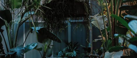 Studio Familial | Vue sur la cour