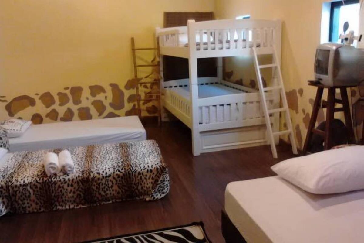 A room with a bunk bed, a single bed, a leopard print ottoman, a television on a stand, and a window with a view of the outside.