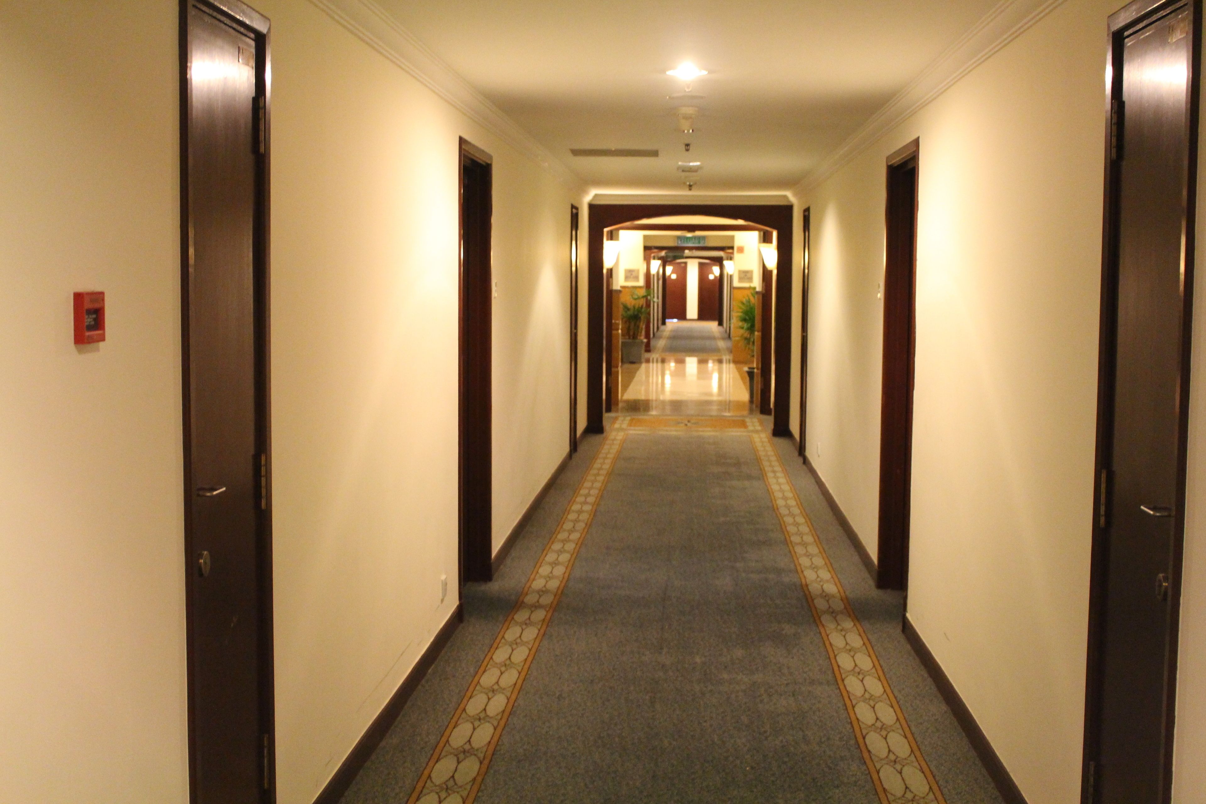 A hotel hallway with a carpeted floor, wooden doors, and a light fixture on the ceiling.