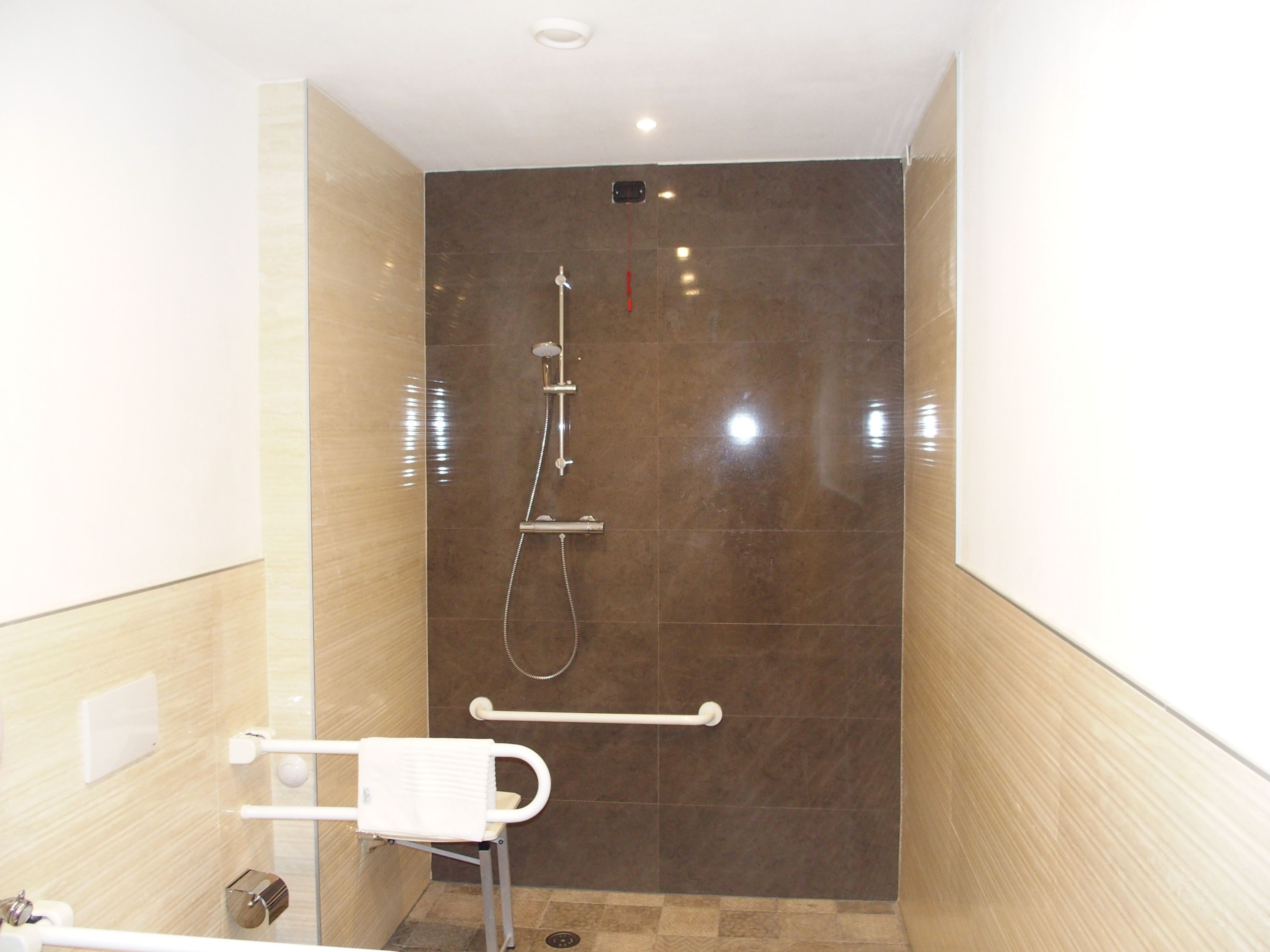 Un baño moderno con ducha a nivel, barra de apoyo y perchero.