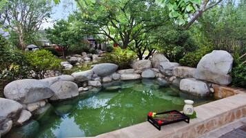 Aguas termales