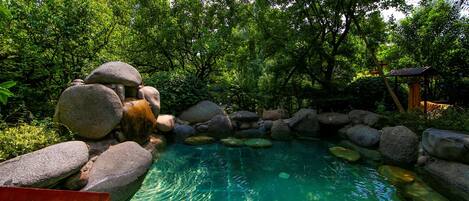 Una piscina cubierta, una piscina al aire libre