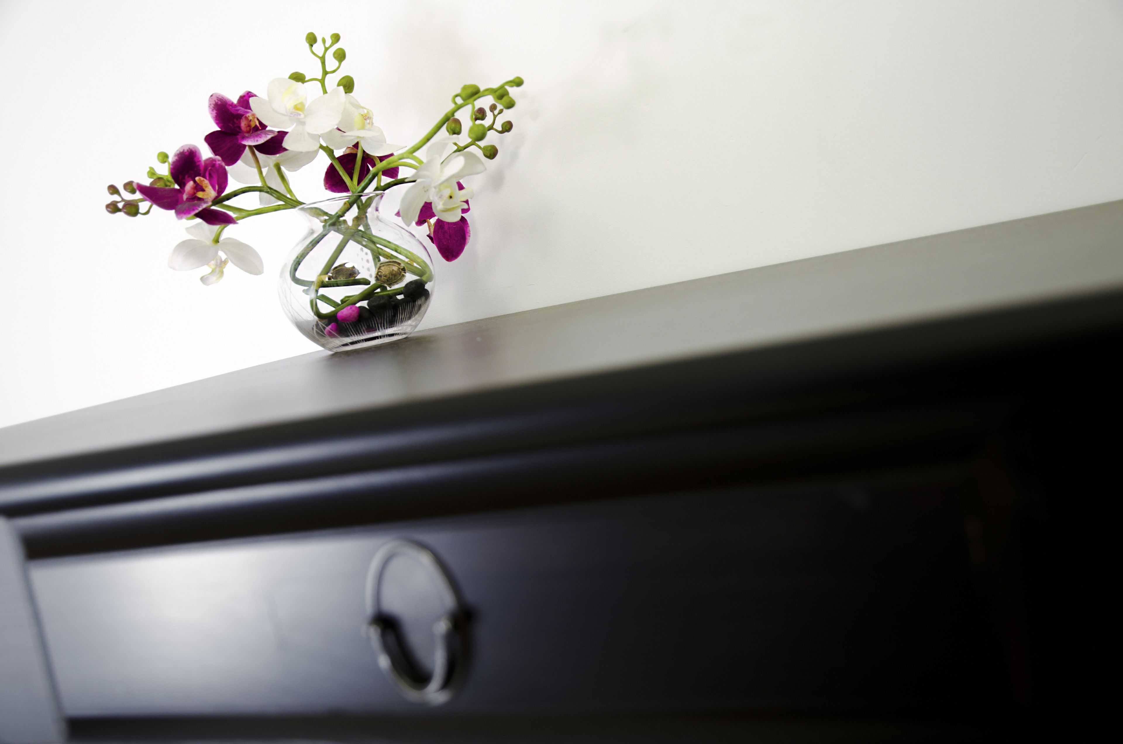 Foto - B&B Lost in Trastevere