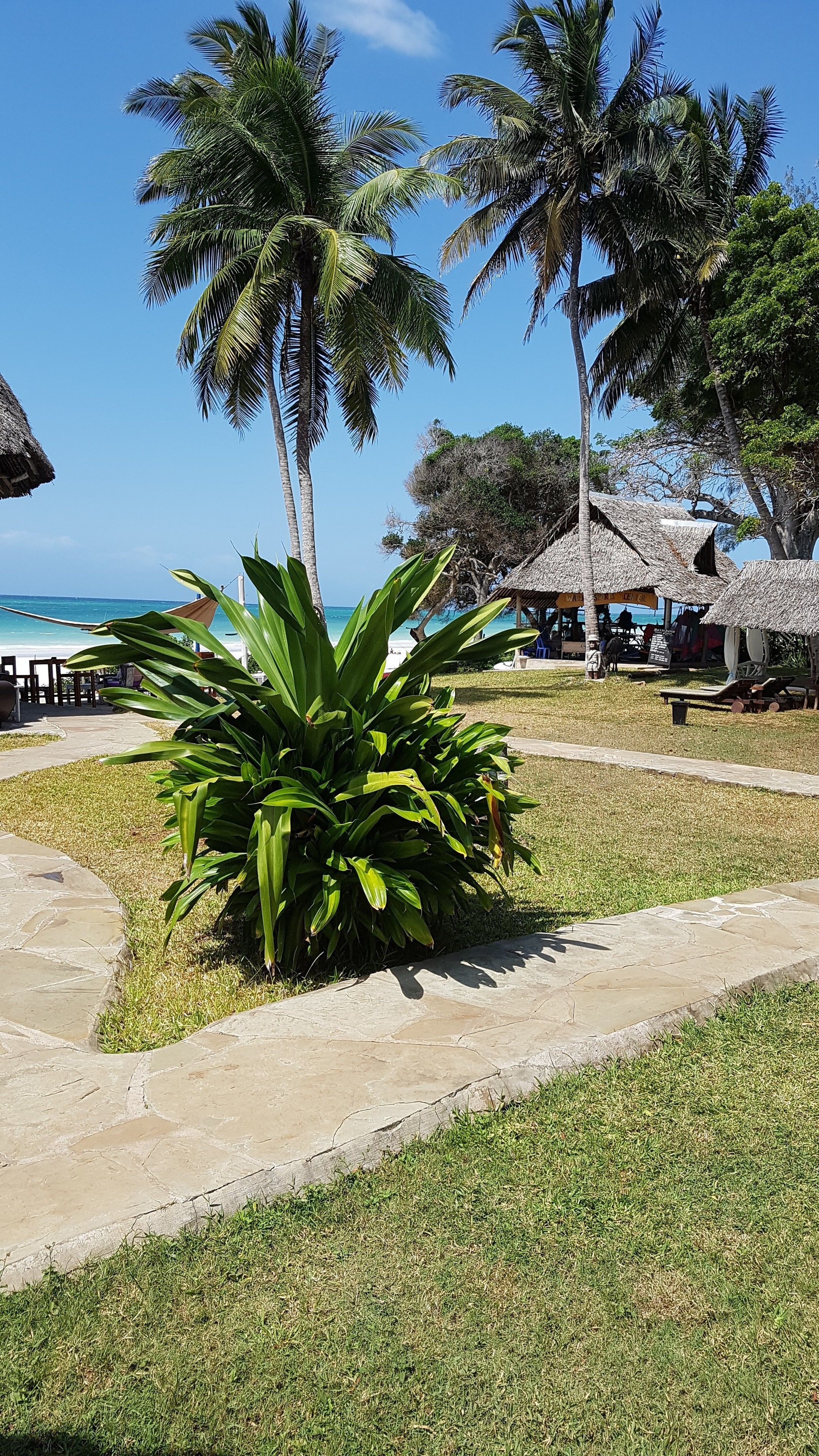 Private beach, beach umbrellas, beach massages, scuba diving