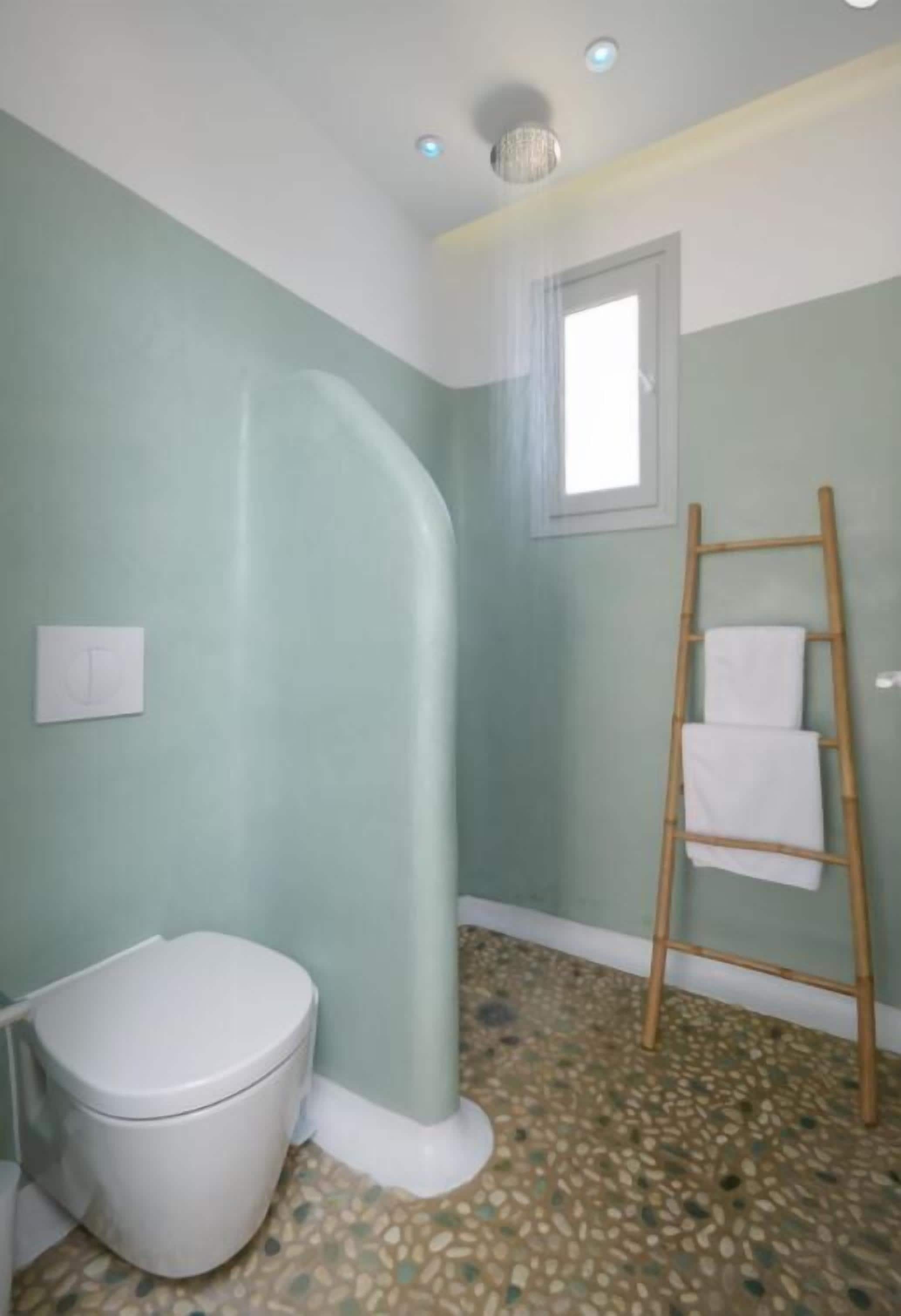 A bathroom with a toilet, a shower area, and a wooden ladder with towels.