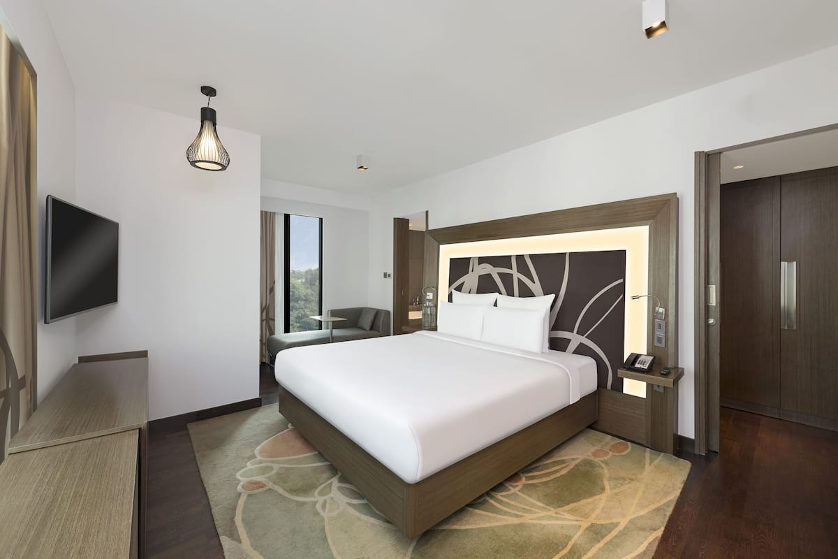 Suite Supérieure, 1 trÚs grand lit