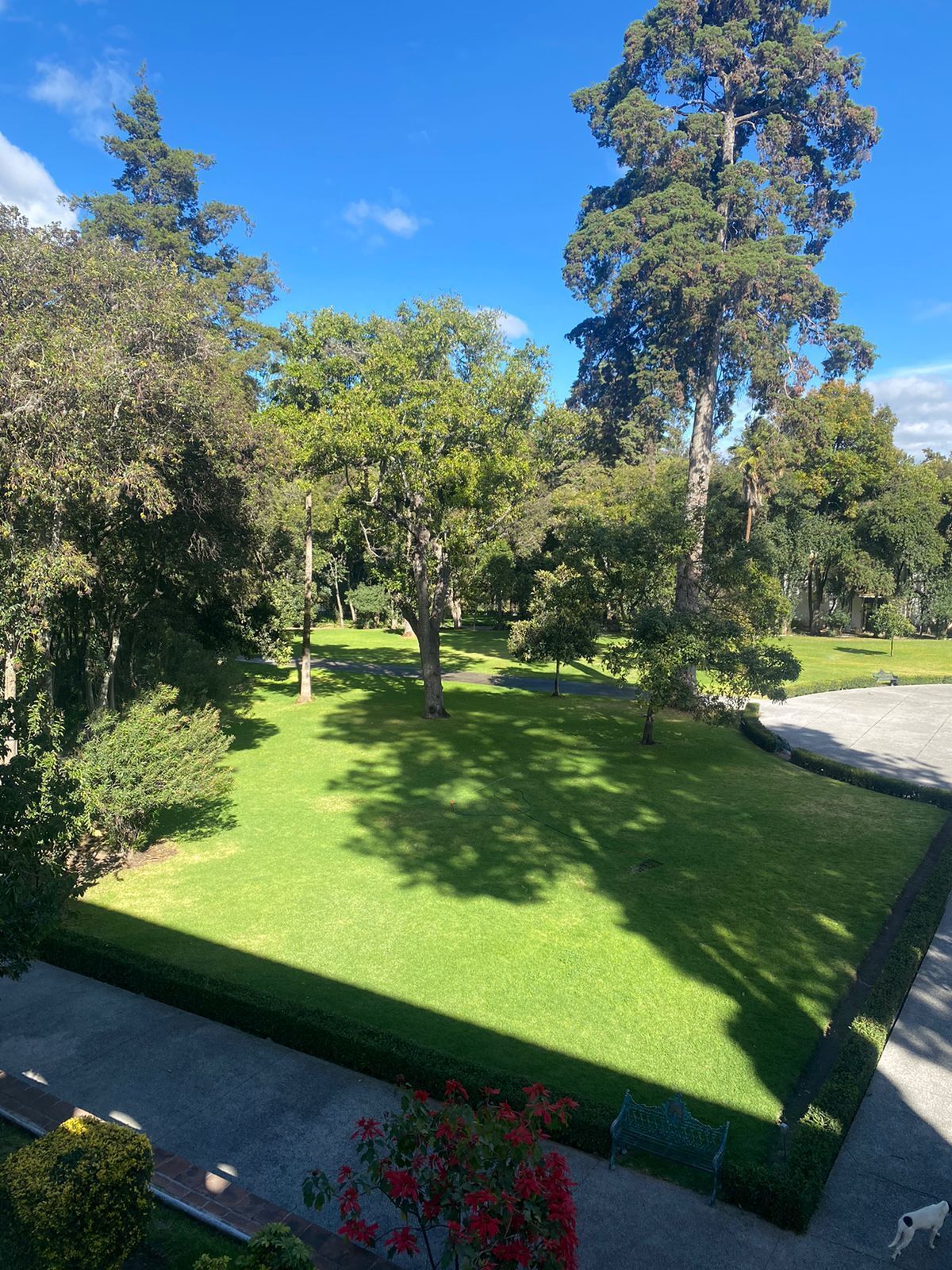 A well-maintained park with a variety of trees, a clear sky, and a paved walkway.