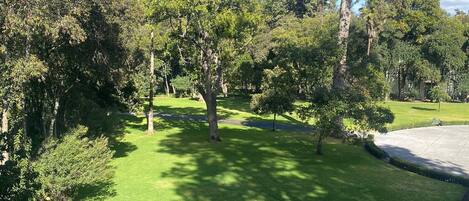 A well-maintained park with a variety of trees, a clear sky, and a paved walkway.