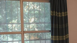 Cabaña superior | Escritorio, cortinas opacas, tabla de planchar con plancha