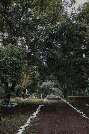 Exterior - Mango Selva Bio Hotel (Actopan)