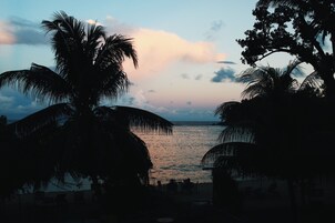 A beach scene with palm trees and a view of the sea.