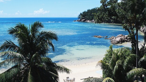 Una playa con agua turquesa cristalina, palmeras y un litoral rocoso.