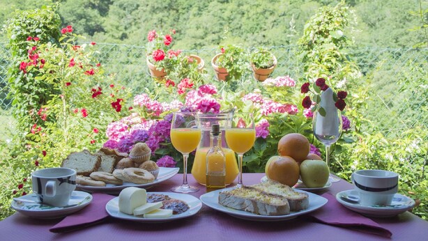 Una mesa dispuesta con alimentos para el desayuno, como pan, pasteles, fruta y bebidas, rodeada de exuberante follaje y flores.