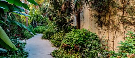 A narrow pathway flanked by lush greenery and a palm tree, leading to a building with a beige wall.