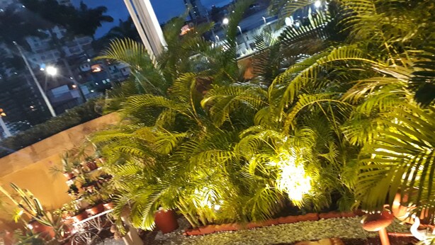 A rooftop garden with potted plants and decorative elements.