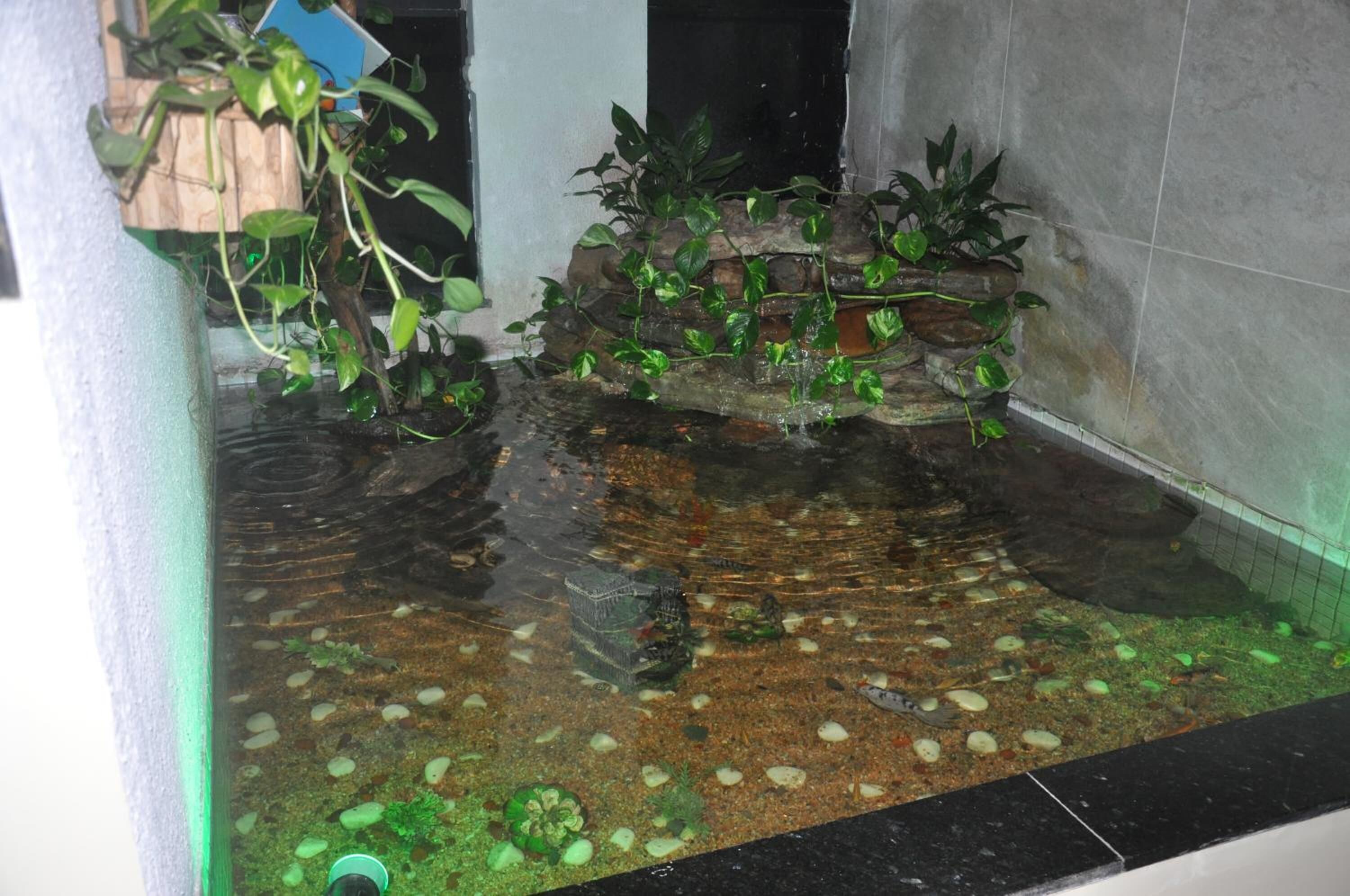 Foto - Hotel Sempre Bahia