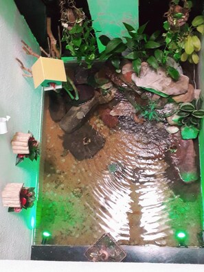 Un pequeño elemento decorativo acuático interior con rocas, plantas, una caja de madera y un pequeño acuario.