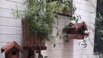 Un terrario con plantas y un comedero de pájaros de madera.